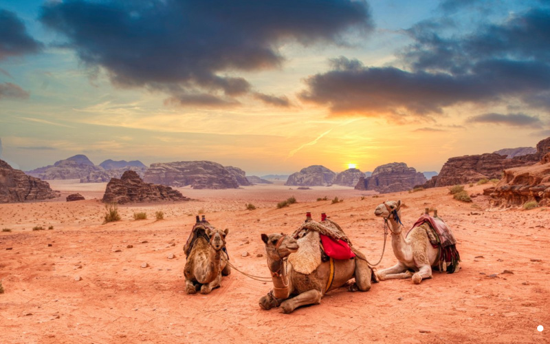 10-Day Jordan Photography Tour Itinerary